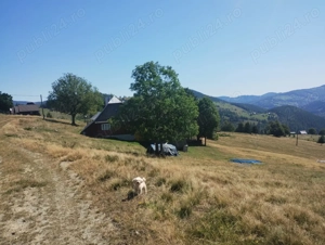 Casa in chirie   Arieseni - imagine 2