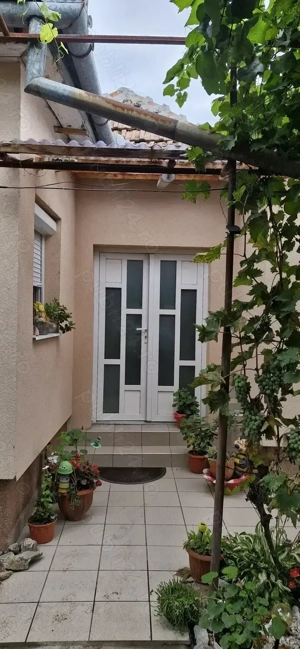 Vanzare casa in localitatea sălard  - imagine 3