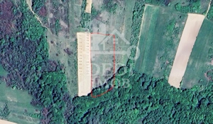 Teren 1 EURO/mp de vanzare in Tileagd-Balaia, Bihor