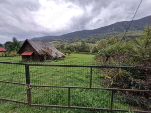 Teren Vidra, comuna Avram Iancu 4600mp