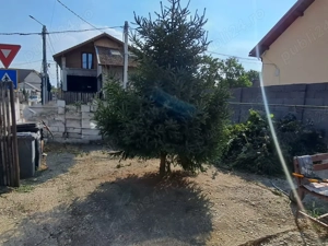 Casă pe colț cu teren 396 m2  și proiect de mansardare (reînnoibil)