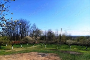 Vand casa Hintesti,Arges - imagine 2