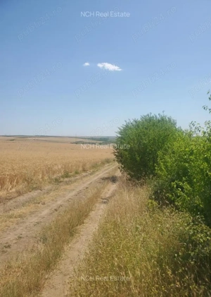 50 Ha comasat 100%, judetul Constanța