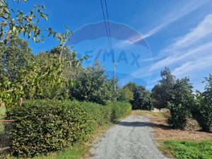 OCAZIE.  De vanzare teren în Cicarlau - Strada 1 Mai - super pret