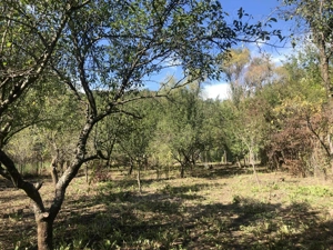 Teren intravilan Teslui - Olt