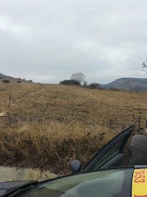 Teren extravilan Giula com.Borsa - imagine 2