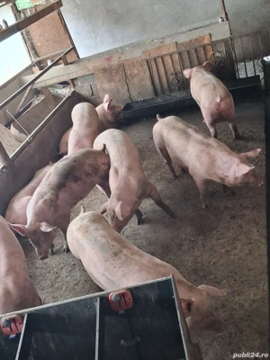 de vanzare - imagine 4 de vanzare - imagine 4