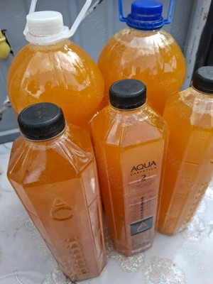 Produse apicole 100% naturale  - imagine 5