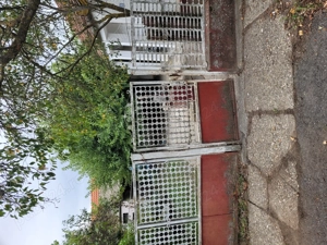 Vând casa la Murani  - imagine 4