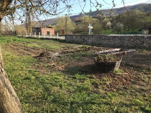 Casa cu livada - Poiana Aiudului (In apropiere de Rimetea si Cheile Aiudului) - imagine 7