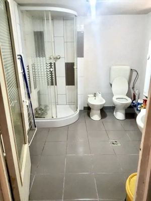 Casa de vanzare cu curte si anexe, teren 1253 mp, Berghin - imagine 7