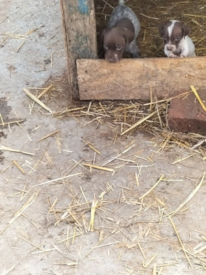 Caută altă locație 