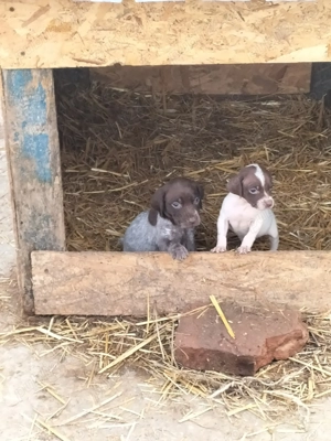 Caută altă locație  - imagine 2