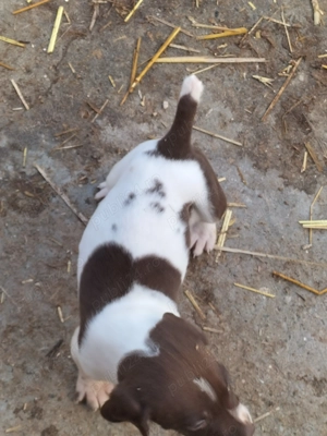 Caută altă locație  - imagine 3