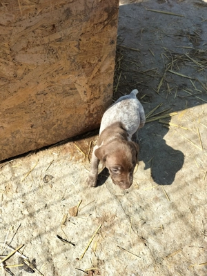 Caută altă locație  - imagine 4