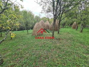 Teren intravilan in Sotrile--5991mp--10e - imagine 4