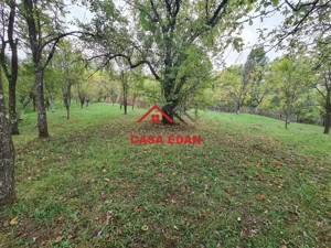 Teren intravilan in Sotrile--5991mp--10e - imagine 7