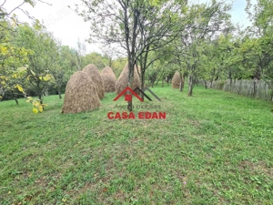 Teren intravilan in Sotrile--5991mp--10e - imagine 5