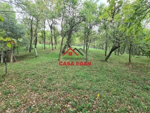 Teren intravilan in Sotrile--5991mp--10e - imagine 8