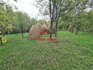 Teren intravilan in Sotrile--5991mp--10e - imagine 6