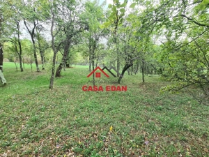 Teren intravilan in Sotrile--5991mp--10e - imagine 10