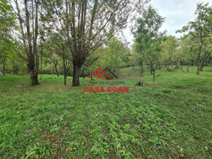 Teren intravilan in Sotrile--5991mp--10e - imagine 12