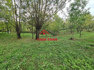 Teren intravilan in Sotrile--5991mp--10e - imagine 11