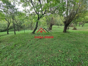 Teren intravilan in Sotrile--5991mp--10e - imagine 9