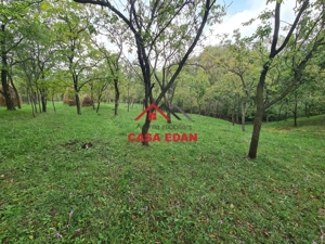 Teren intravilan in Sotrile--5991mp--10e - imagine 13