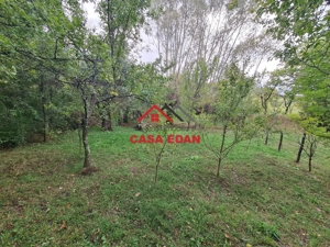 Teren intravilan in Sotrile--5991mp--10e - imagine 15