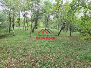 Teren intravilan in Sotrile--5991mp--10e - imagine 17