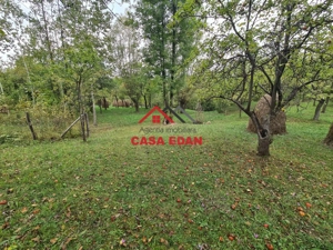 Teren intravilan in Sotrile--5991mp--10e - imagine 16