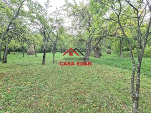 Teren intravilan in Sotrile--5991mp--10e - imagine 20