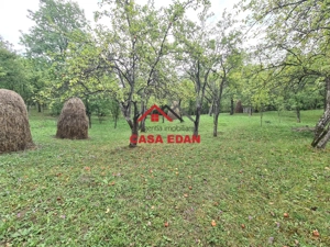 Teren intravilan in Sotrile--5991mp--10e - imagine 18