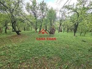 Teren intravilan in Sotrile--5991mp--10e - imagine 19