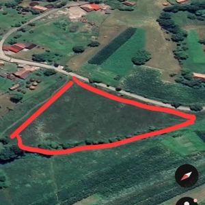 Parcele de teren de vanzare Munții Apuseni, Valea Ariesului, județul Alba.