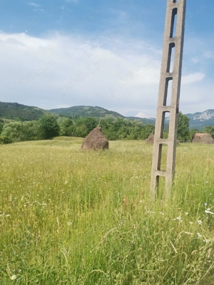 Parcele de teren de vanzare Munții Apuseni, Valea Ariesului, județul Alba. - imagine 3