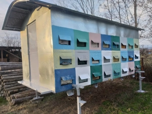 Vănd Container apicol pe picioare reglabil de 48 de stupi - imagine 2