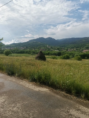 Parcele de teren de vanzare Munții Apuseni, Valea Ariesului, județul Alba. - imagine 4