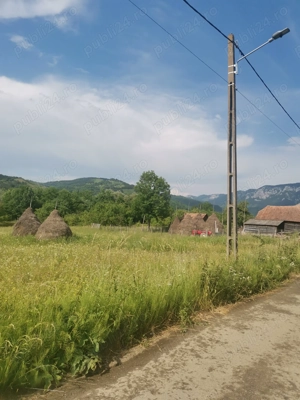 Parcele de teren de vanzare Munții Apuseni, Valea Ariesului, județul Alba. - imagine 5