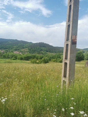 Parcele de teren de vanzare Munții Apuseni, Valea Ariesului, județul Alba. - imagine 6