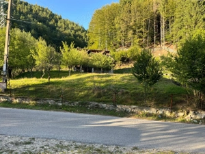 Teren+ Cabana de vanzare (langa statiunea Straja) - imagine 4