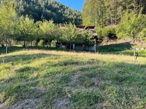 Teren+ Cabana de vanzare (langa statiunea Straja) - imagine 8