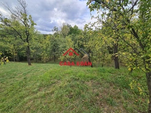 Teren intravilan in Sotrile--1671m--13e - imagine 4