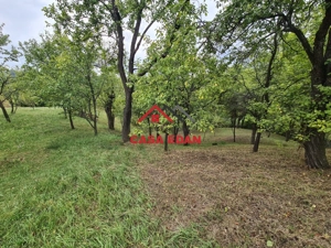 Teren intravilan in Sotrile--1671m--13e - imagine 9