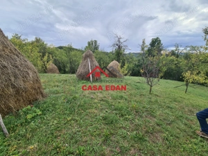 Teren intravilan in Sotrile--1671m--13e - imagine 12