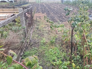 Vând casă cu teren generos – Hălchiu, aproape de Brașov - imagine 5