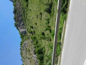 Caut o blondă sau brunetă 