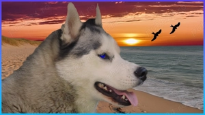 Digital creator  - imagine 4 Digital creator  - imagine 4