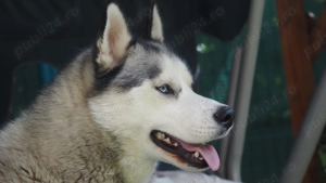 Digital creator  - imagine 3 Digital creator  - imagine 3